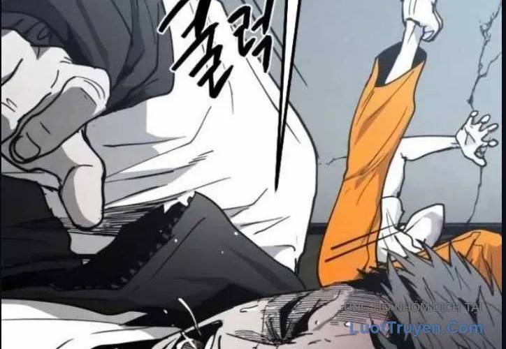 Chapter 40 - Trang 113