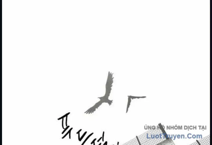 Chapter 40 - Trang 45