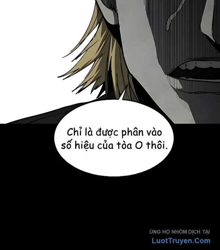 Chapter 41 - Trang 3