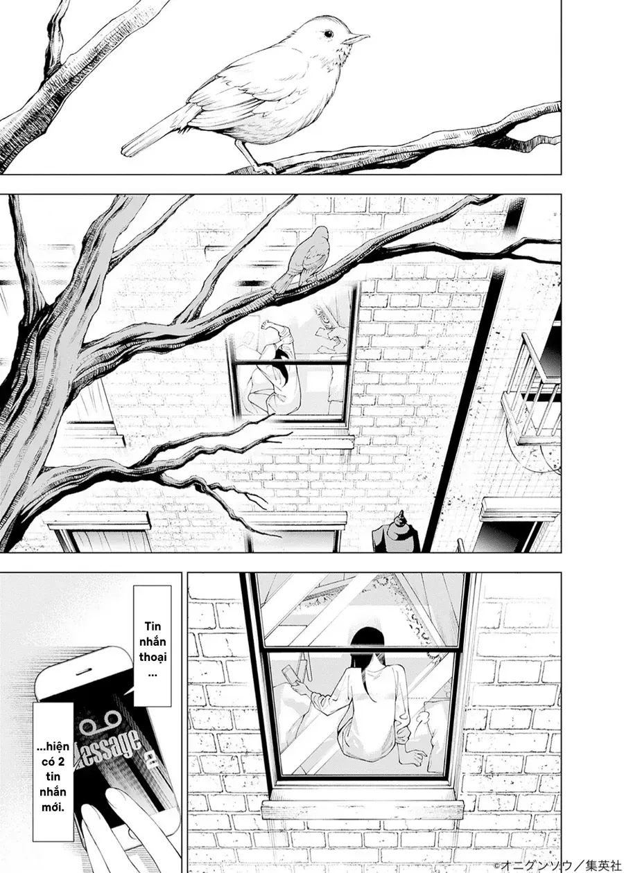 Chapter 1 - Trang 5