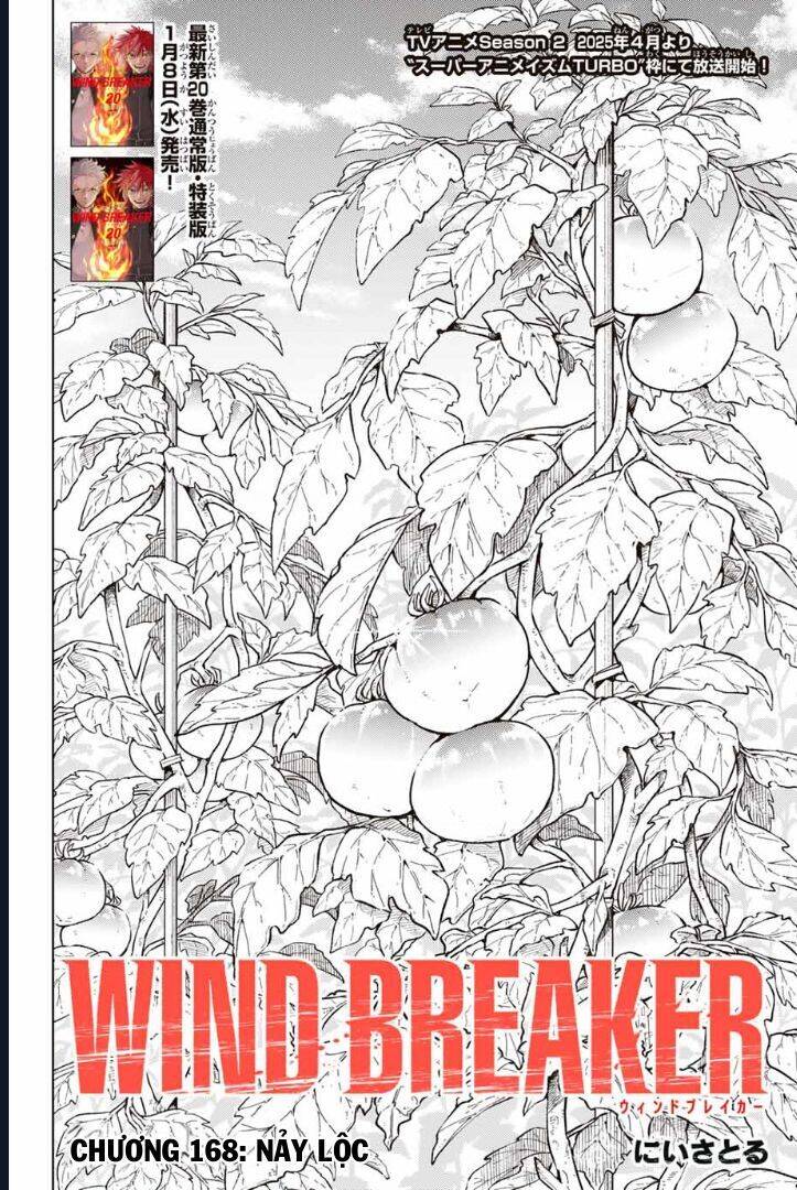 Wind Breaker (Nii Satoru) - Chap 168 - Trang 3