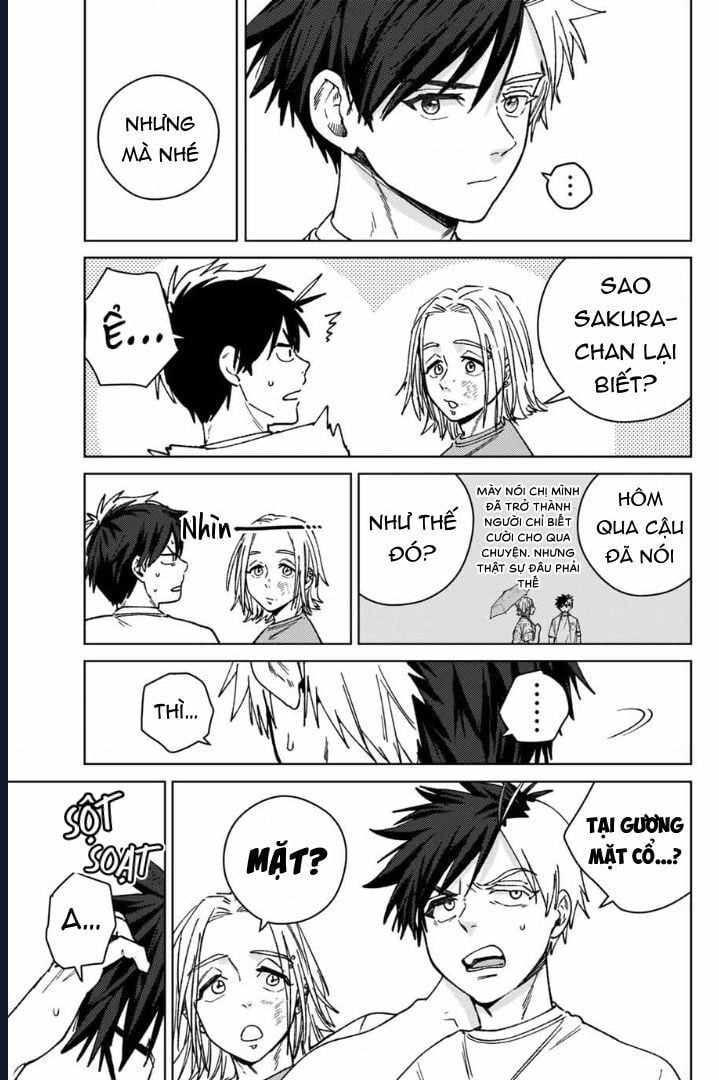 Wind Breaker (Nii Satoru) - Chap 177 - Trang 12