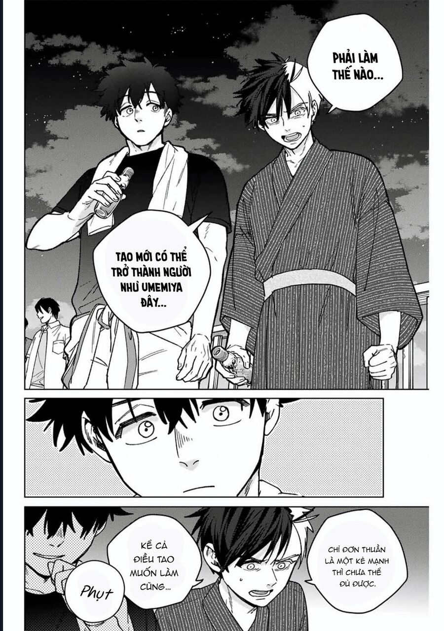 Wind Breaker (Nii Satoru) - Chap 181 - Trang 8