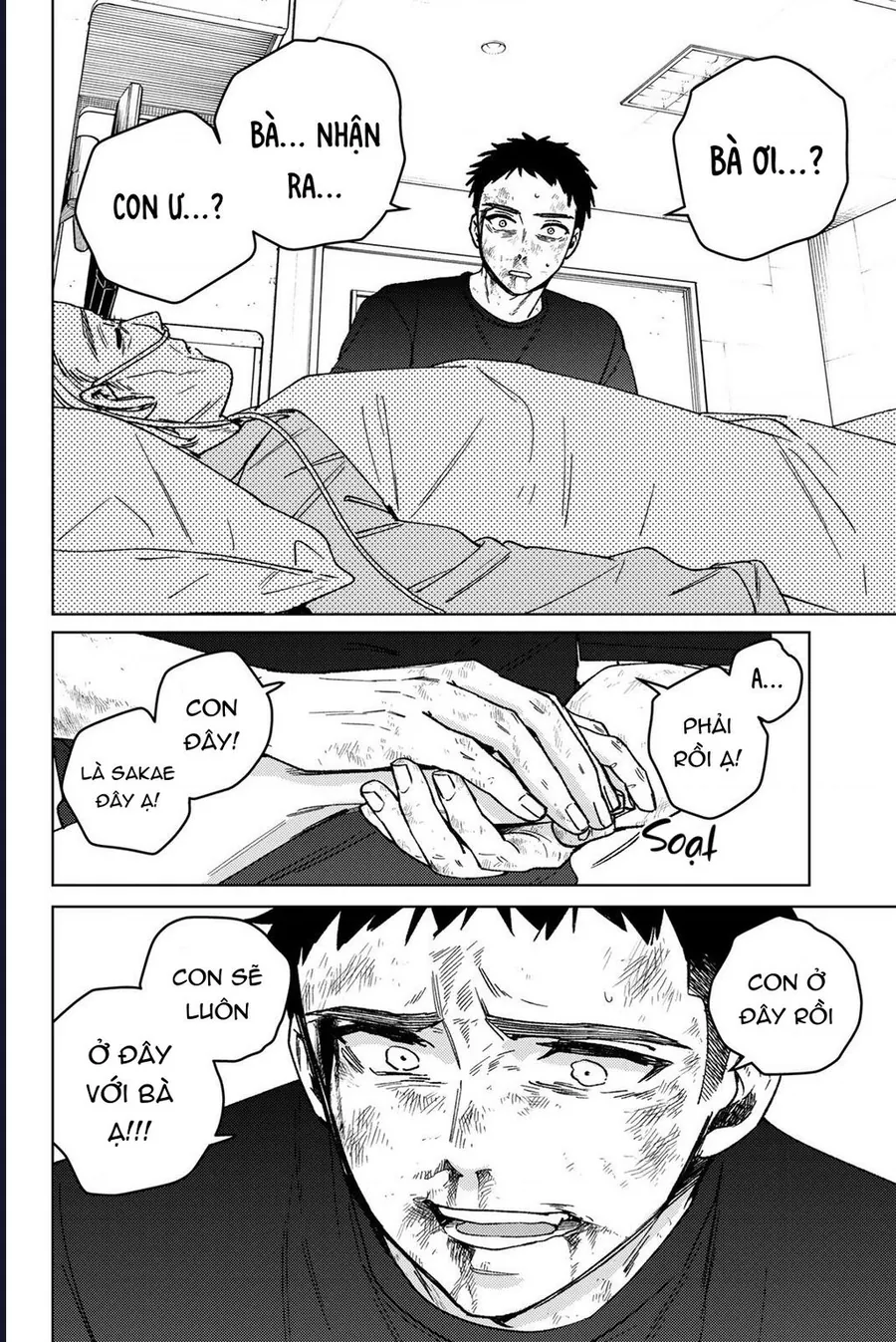 Wind Breaker (Nii Satoru) - Chap 200 - Trang 3