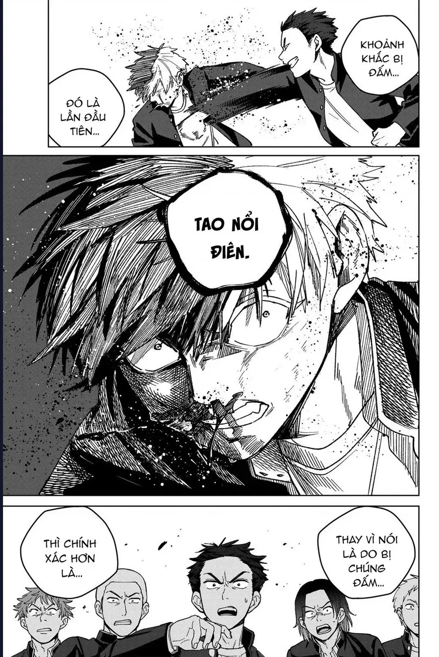 Wind Breaker (Nii Satoru) - Chap 203 - Trang 10