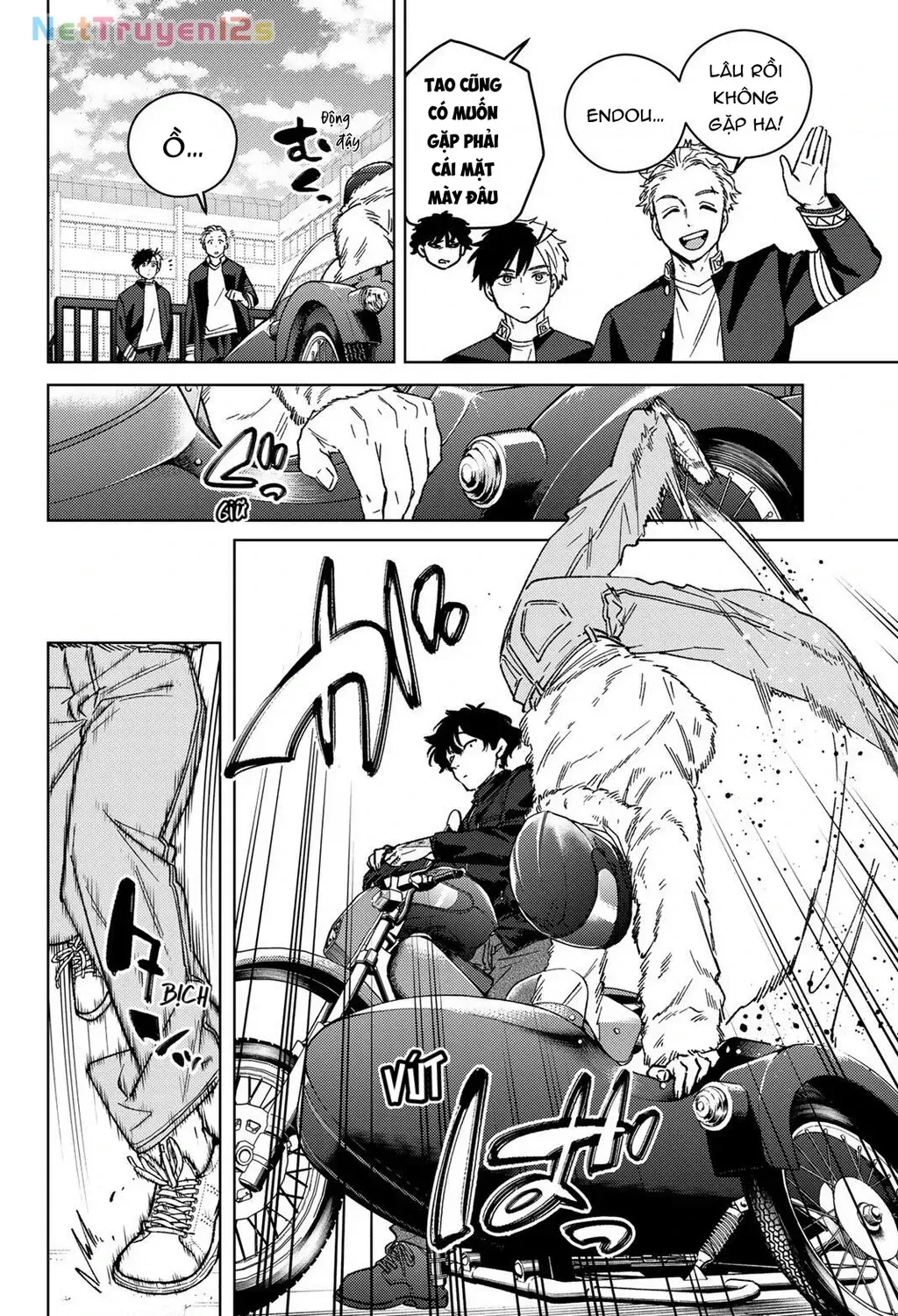 Wind Breaker (Nii Satoru) - Chap 215 - Trang 17