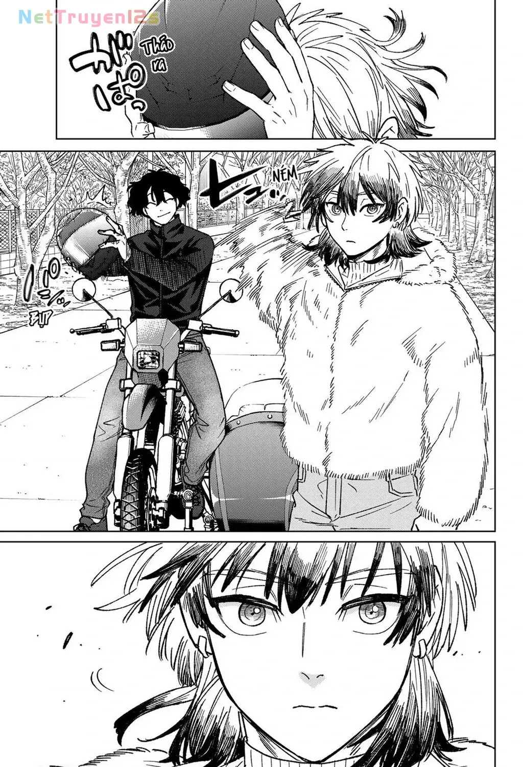 Wind Breaker (Nii Satoru) - Chap 215 - Trang 19