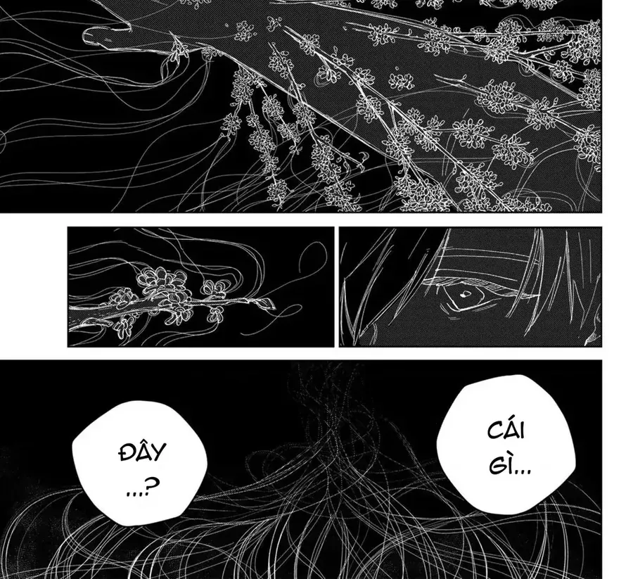 Chapter 219 - Trang 2