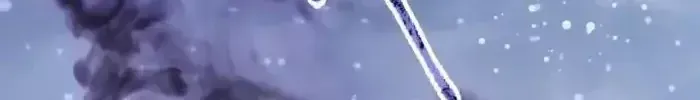 Chapter 85 - Trang 18