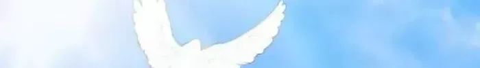 Chapter 86 - Trang 66