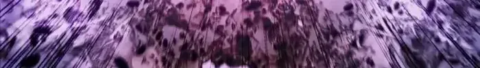 Chapter 94 - Trang 148
