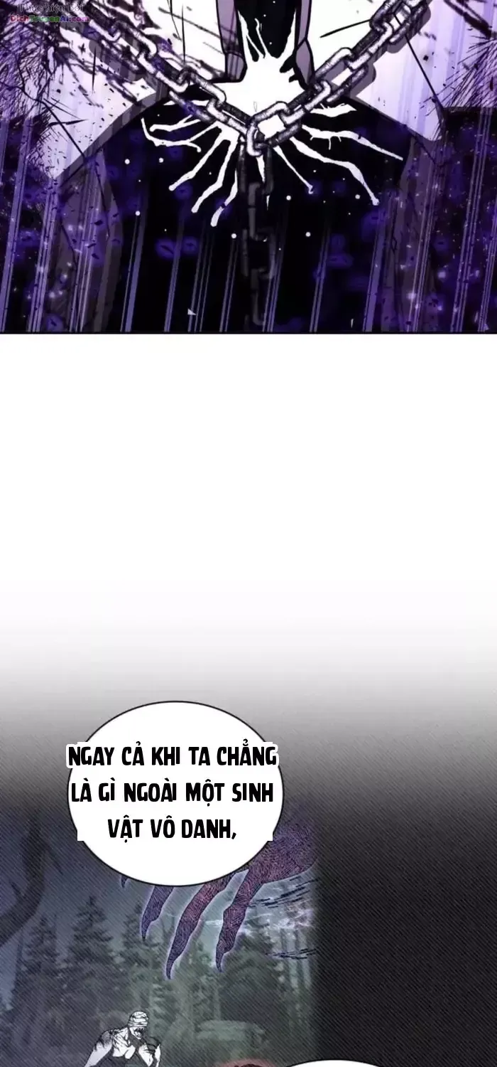 Chapter 95 - Trang 13