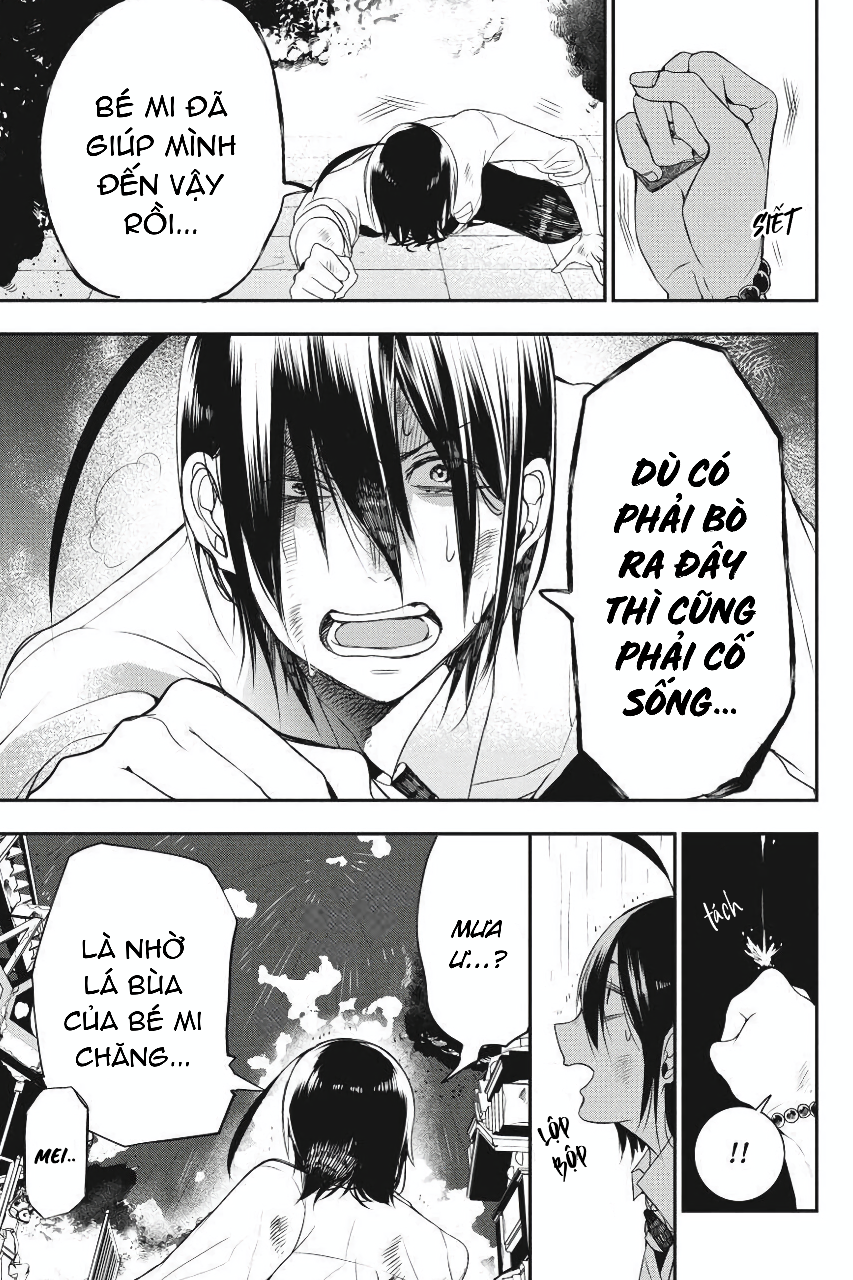 Trang 17