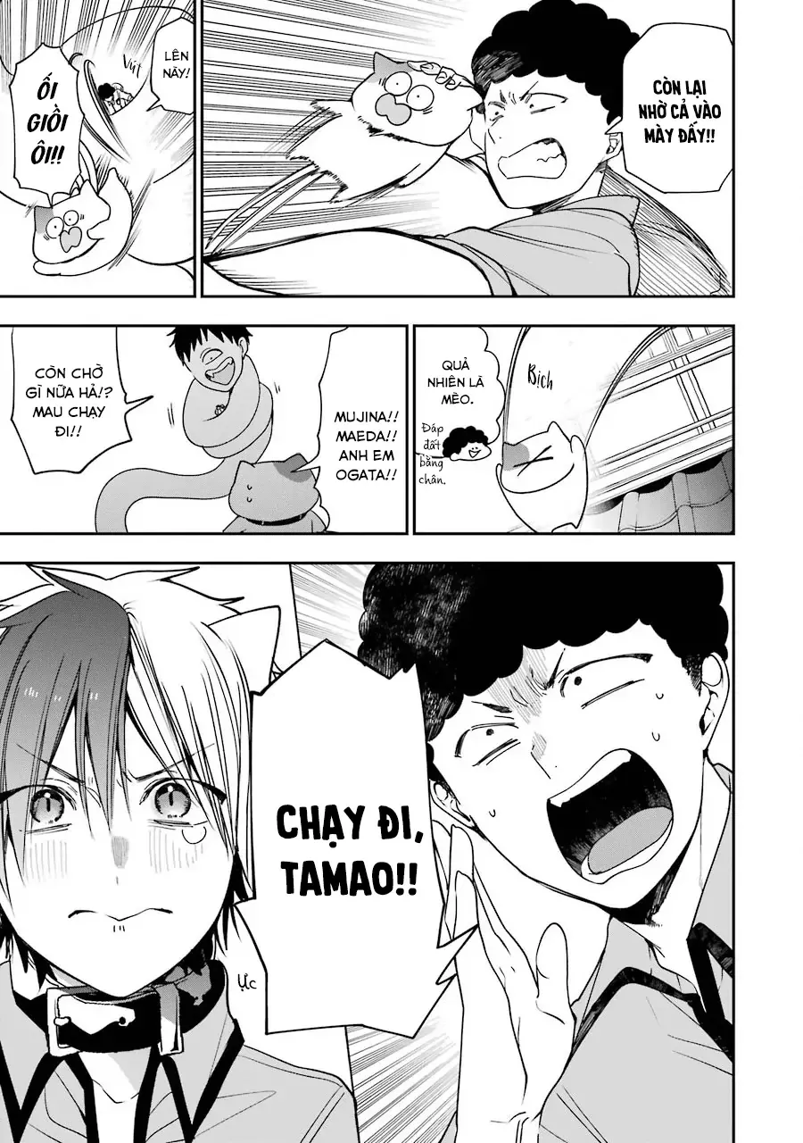 Trang 13
