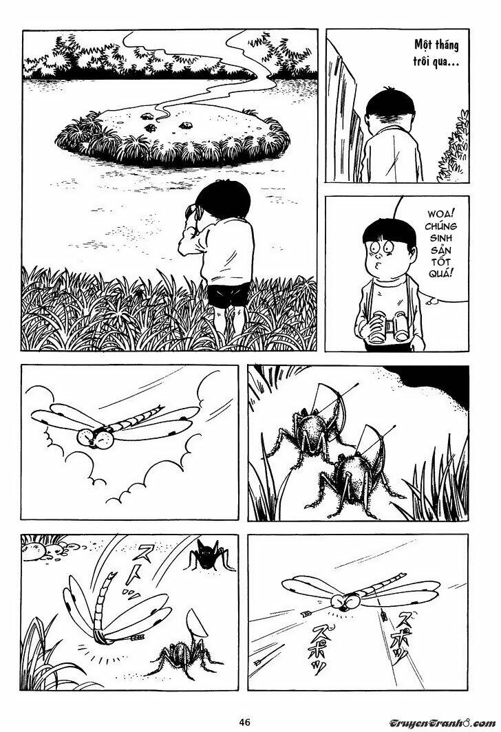 Trang 6
