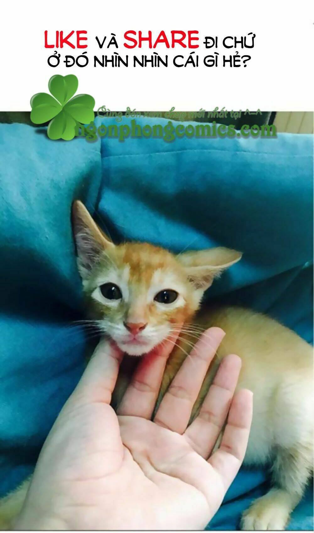 Chương 5 - Trang 13