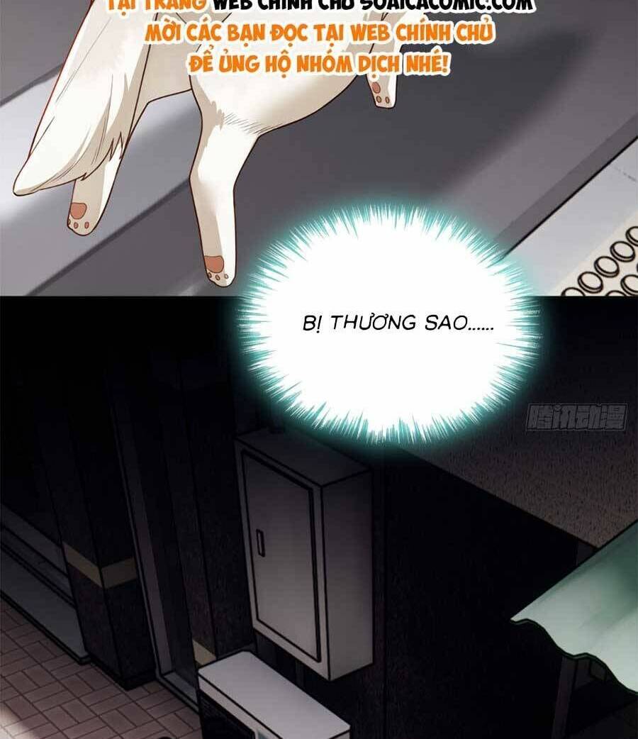 Chương 165 - Trang 30