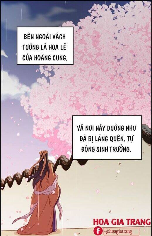 Chương 71 - Trang 3