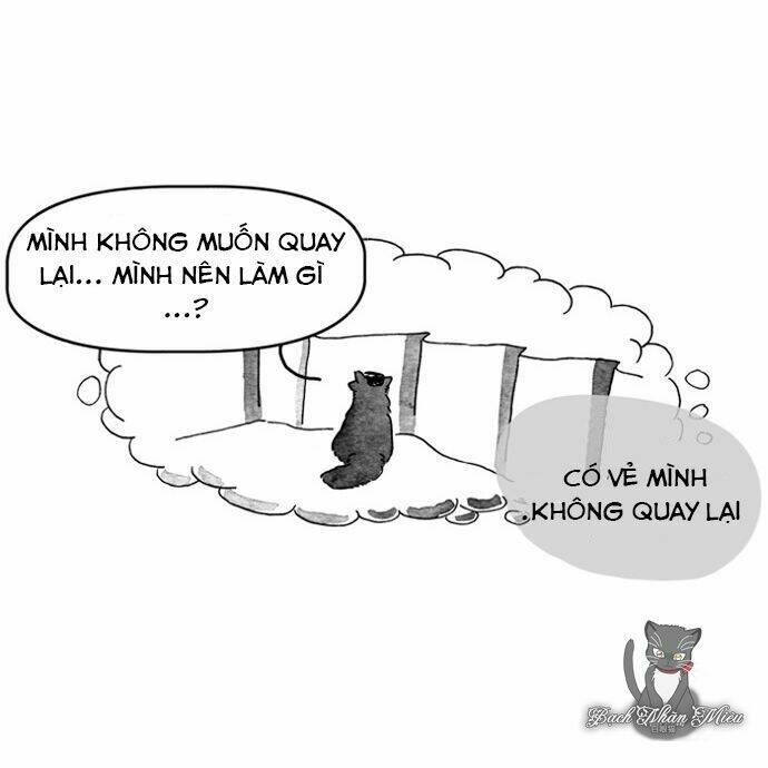 Chương 8 - Trang 16