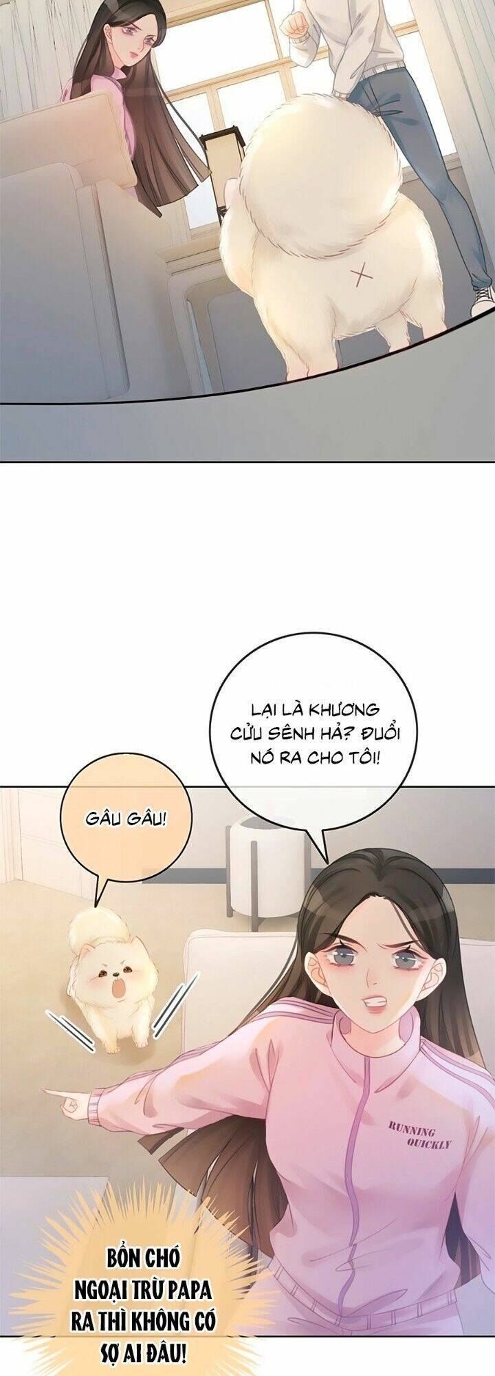 Trang 17
