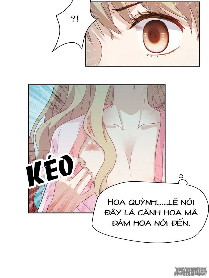 Trang 19
