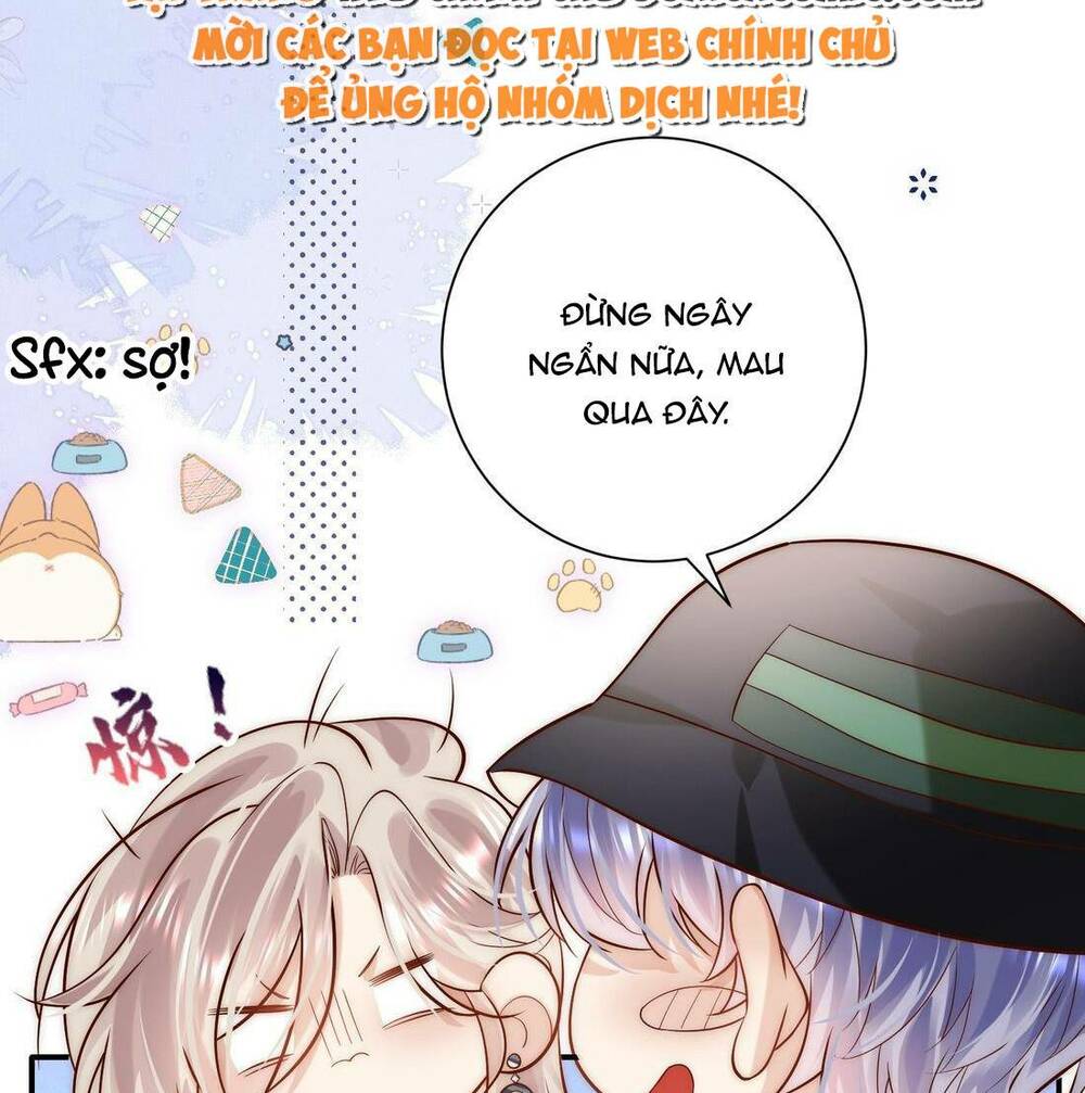 Chương 16 - Trang 41
