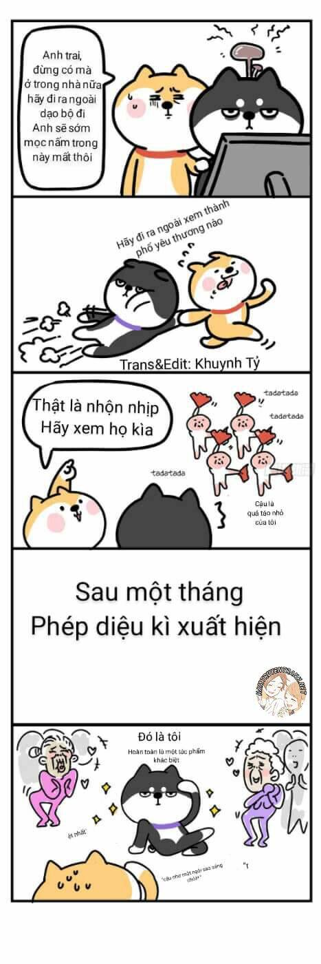 Chương 4 - Trang 7