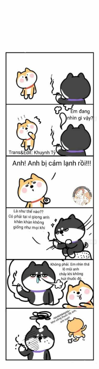 Chương 4 - Trang 8