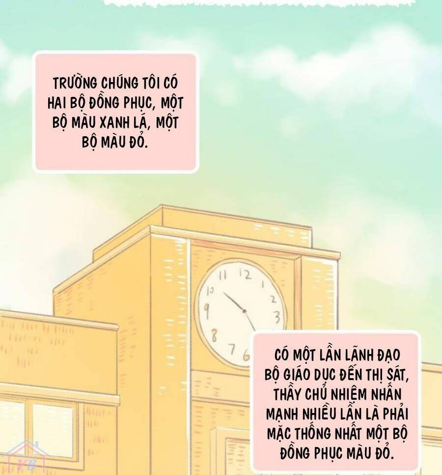 Trang 19