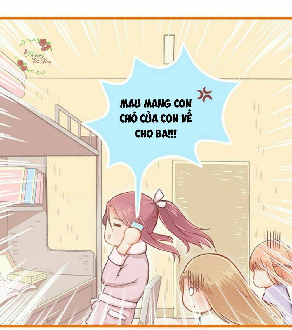 Trang 17