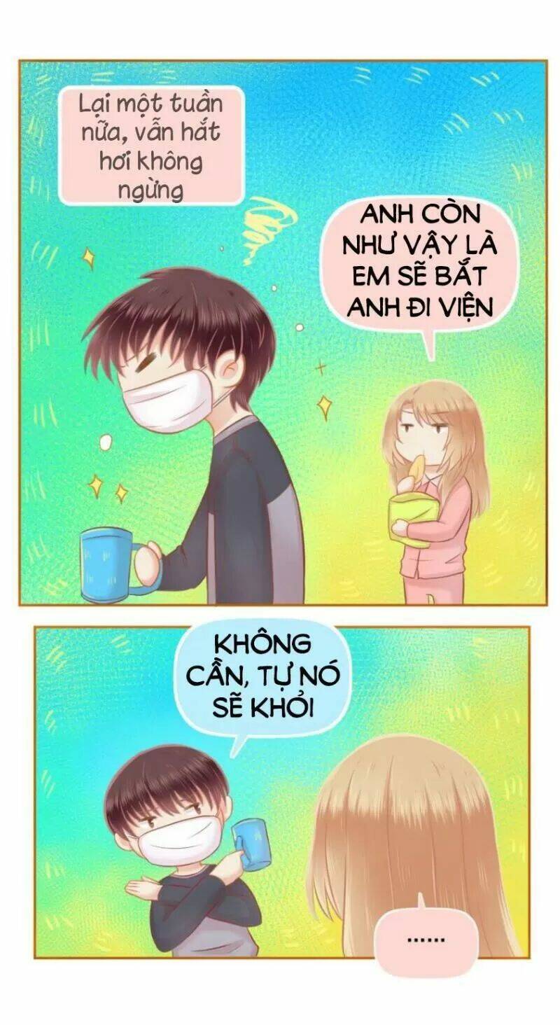 Trang 5
