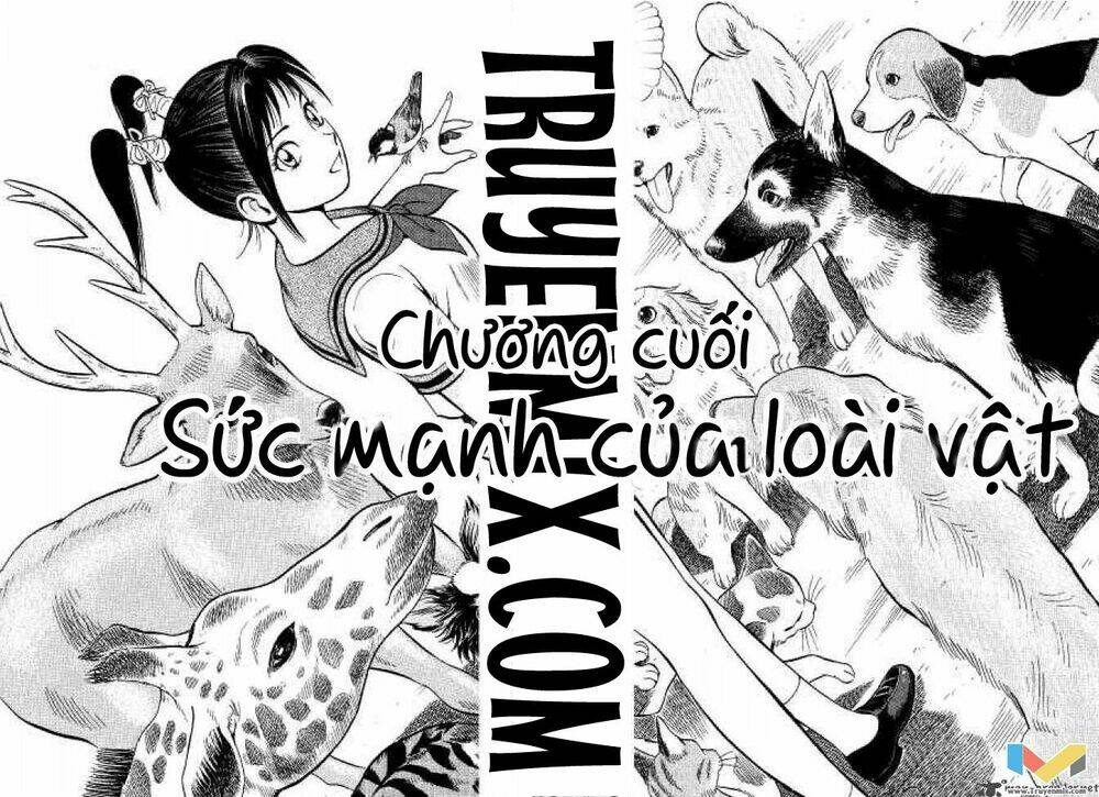 Chương 13 - Trang 3