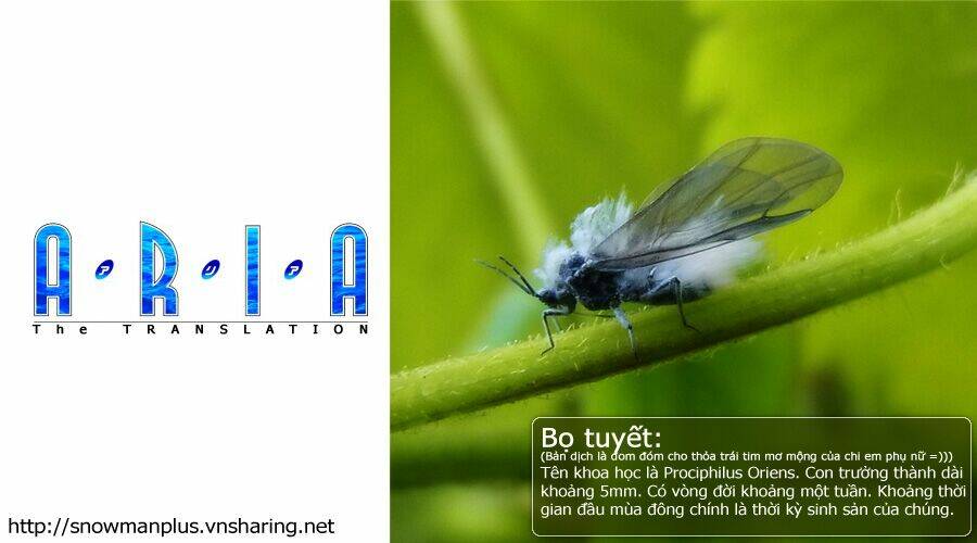 Chương 6 - Trang 34