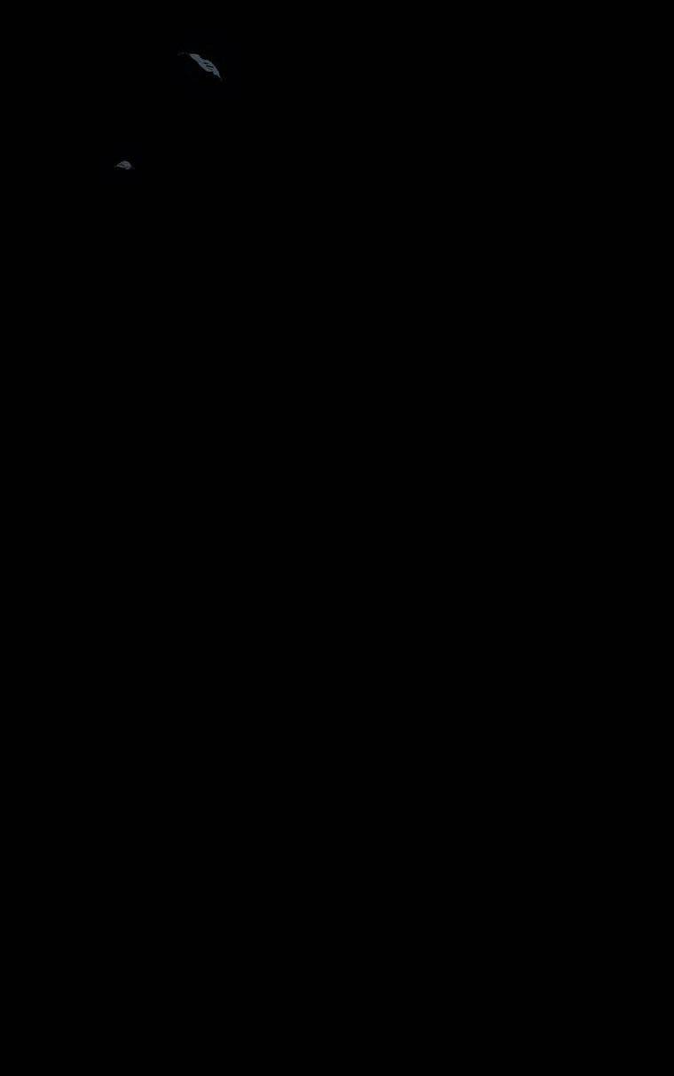 Chương 2 - Trang 121