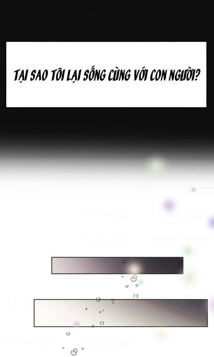 Chương 11 - Trang 16