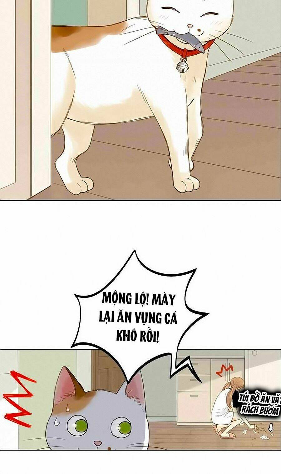 Chương 24 - Trang 29