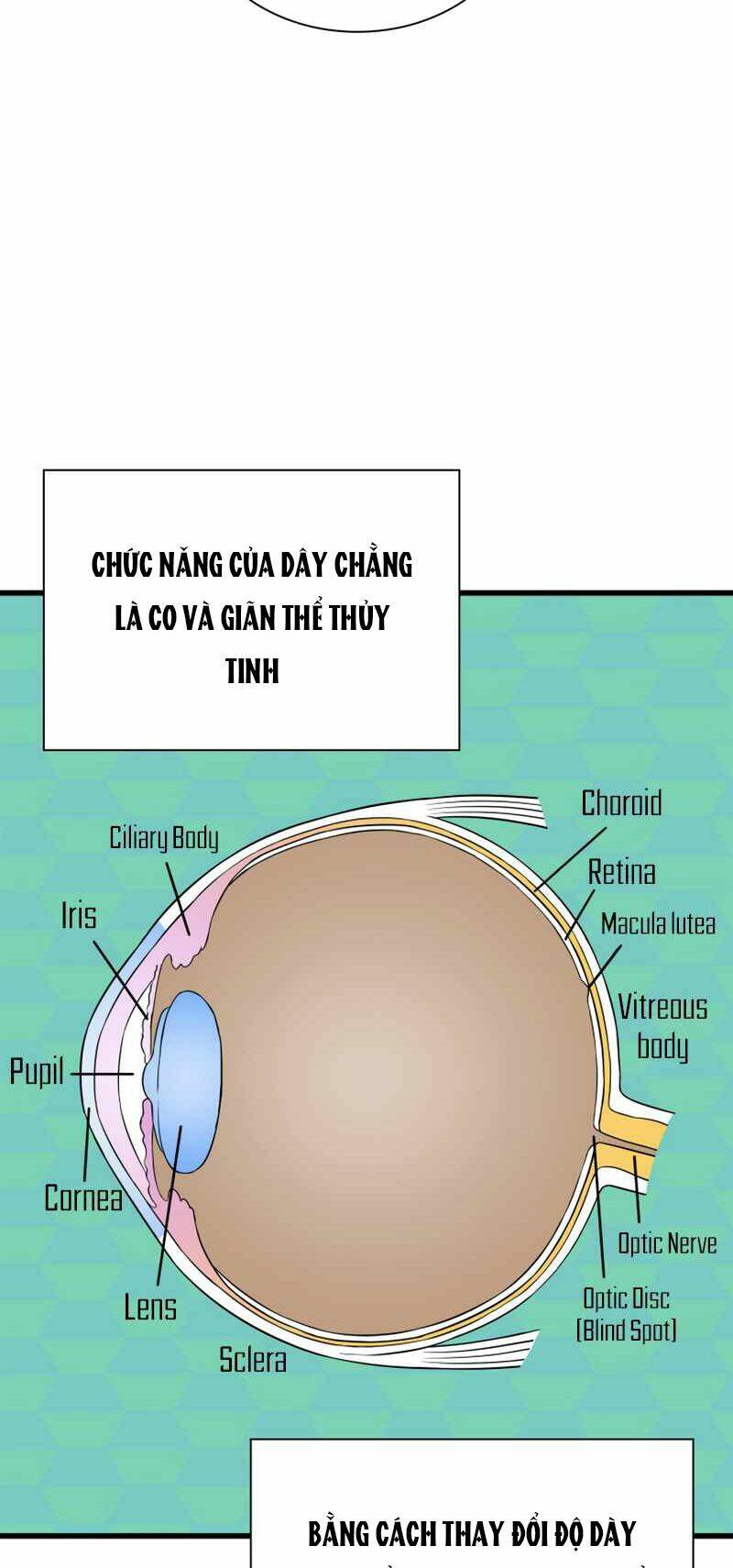 Chương 6 - Trang 46