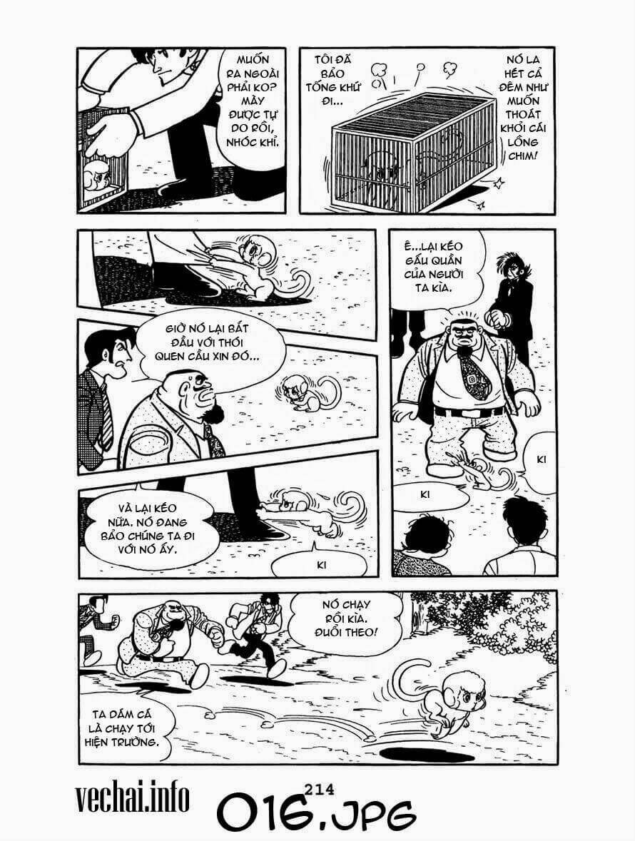 Chương 149 - Trang 16