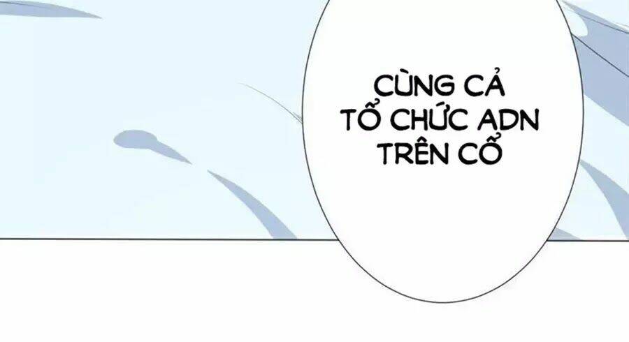 Chương 246 - Trang 2