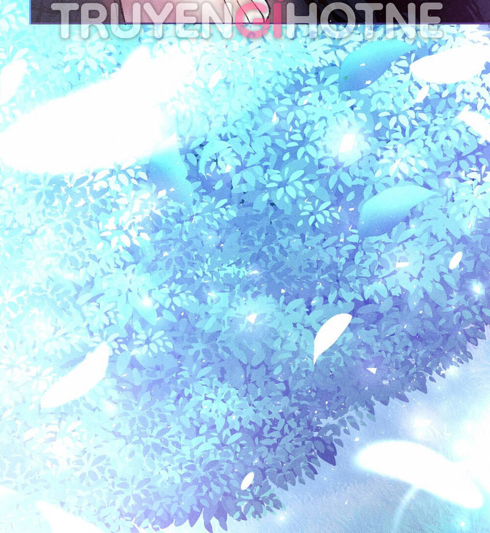 Chương 1.2 - Trang 19