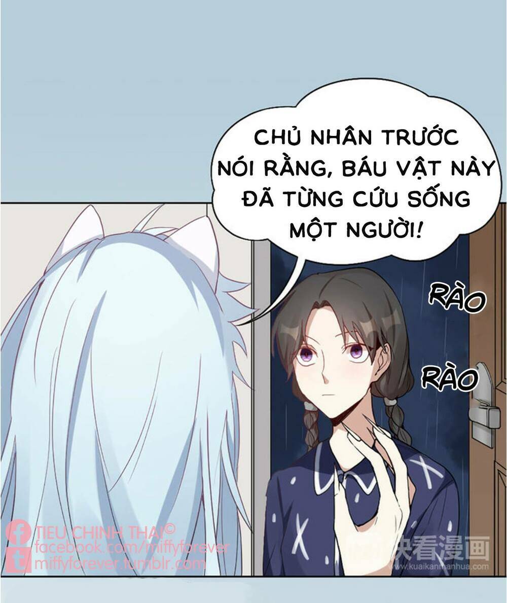 Chương 4 - Trang 19