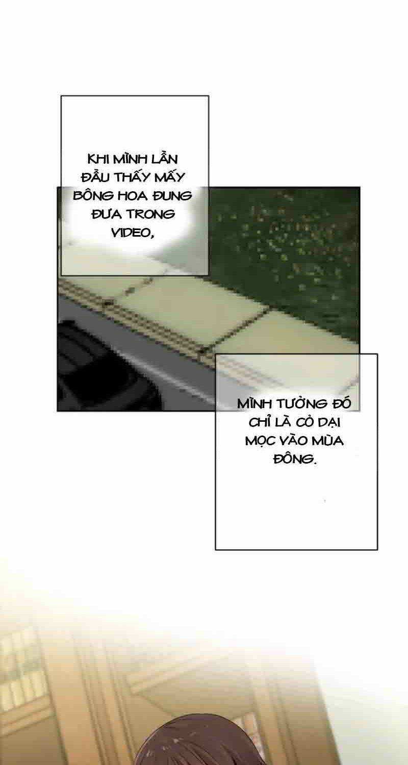 Chương 17 - Trang 48