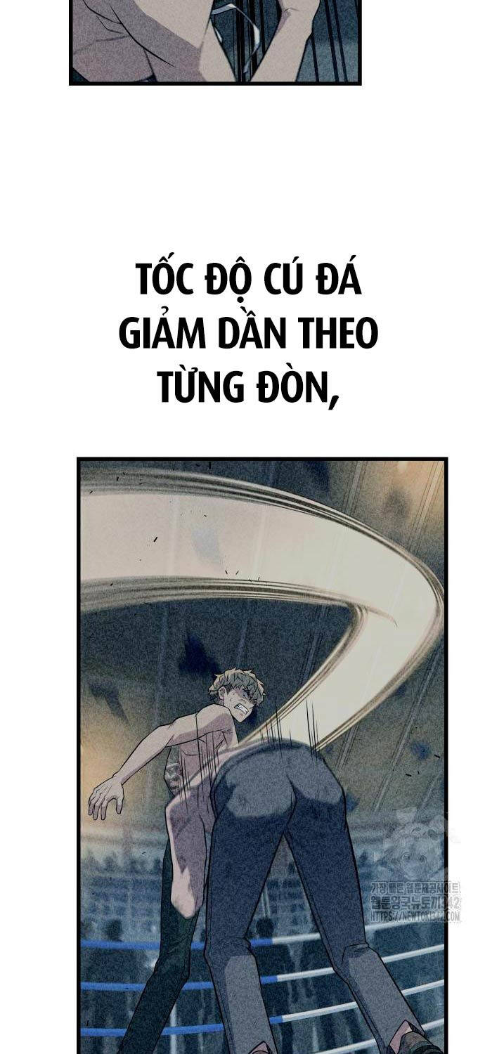 Chương 14 - Trang 135