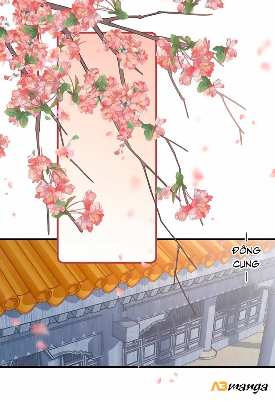 Chương 24 - Trang 16