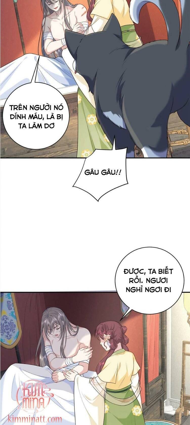 Trang 5