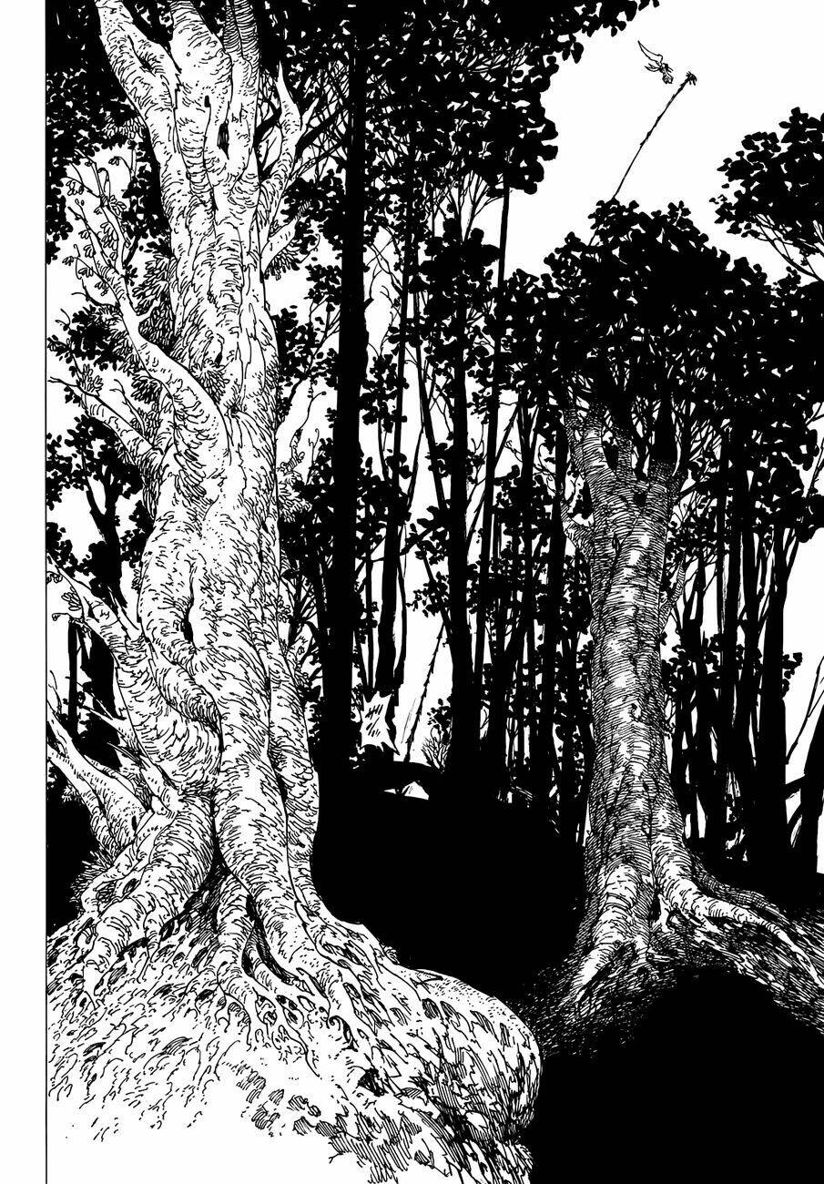 Chương 207 - Trang 13