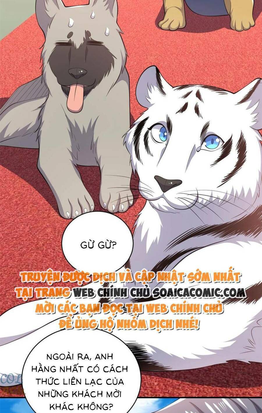 Trang 19