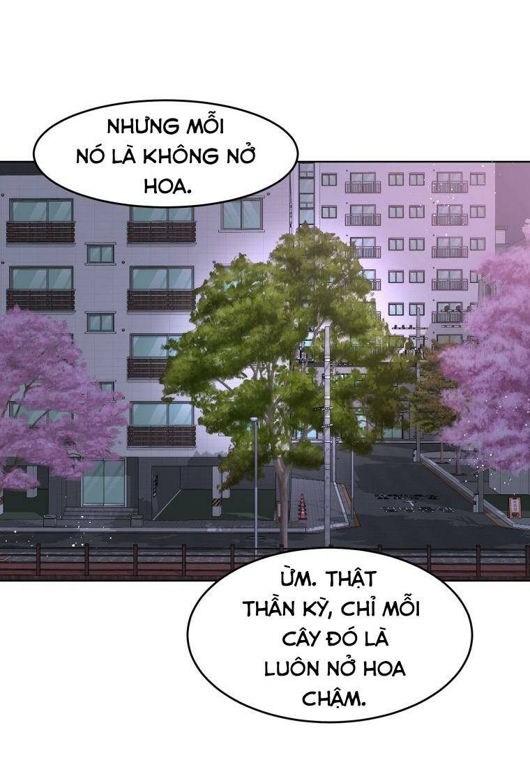 Chương 15 - Trang 61