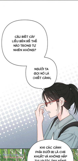 Chương 66 - Trang 13