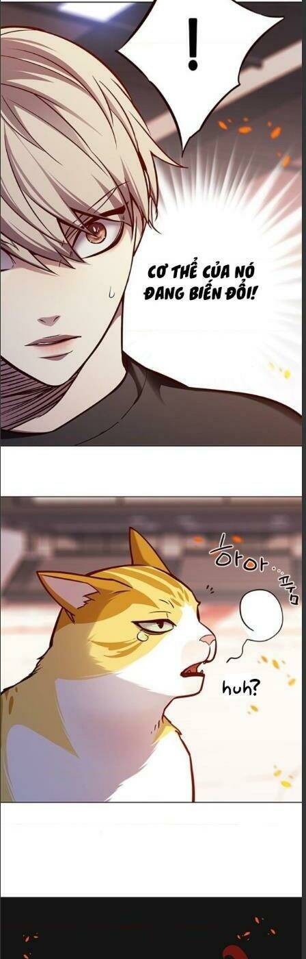 Chương 162 - Trang 30